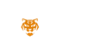 Tiger Casino