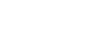 Woolbet Casino Logo
