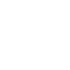 12182_500x250_white_2