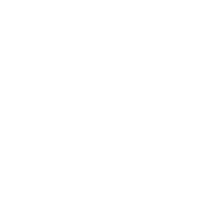 Woolbet Casino Logo