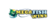 MegaFishWins Casino