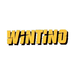 Wintino Casino Logo
