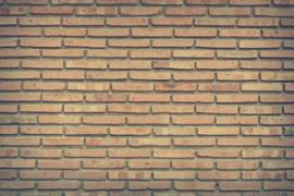 brick-wall
