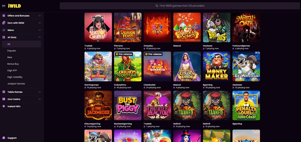 Online slots at iWild casino in Canada