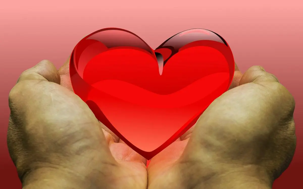 hands-holding-heart-donation
