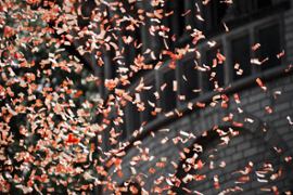 confetti-in-the-air
