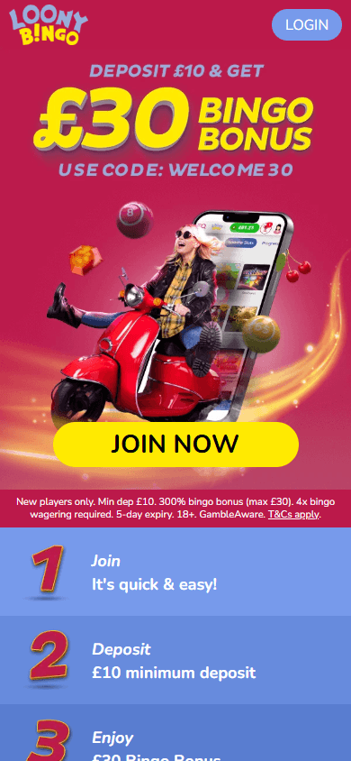 loony_bingo_casino_homepage_mobile