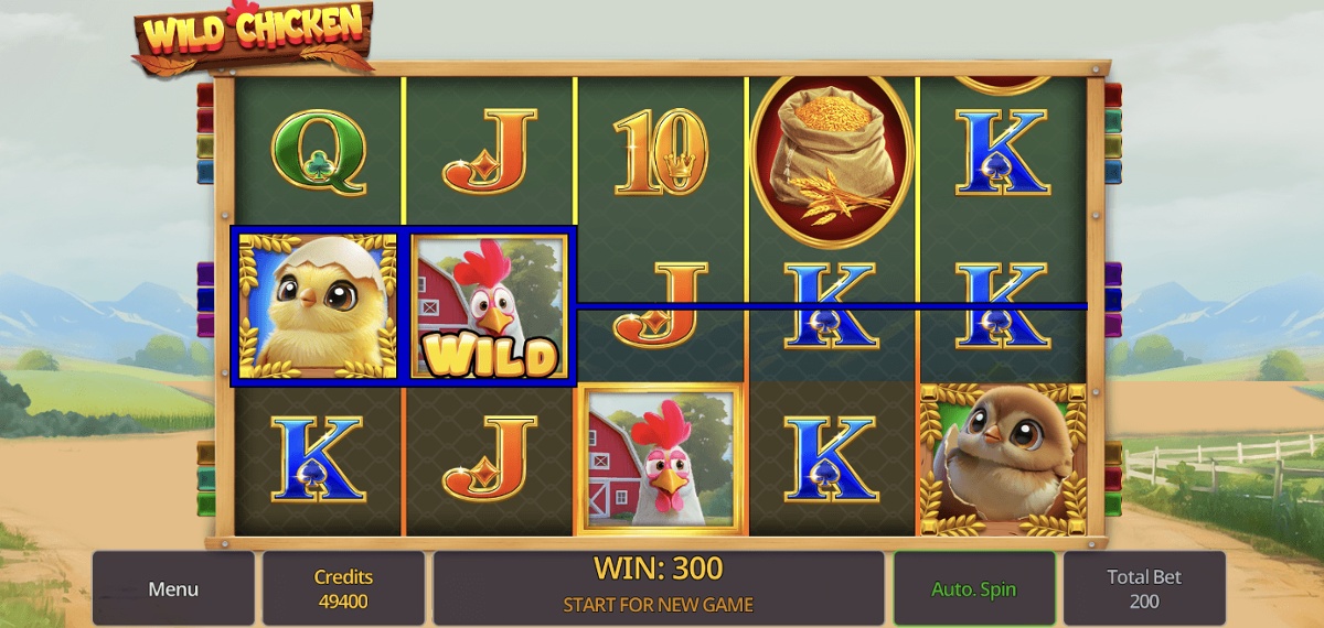 Wild Chicken provides dynamic gameplay for bettors