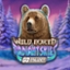 Wild North Radiant Skies GO Collect