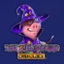 The Pig Wizard Cash Lock