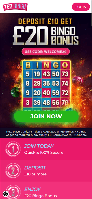 Ted_Bingo_Casino_homepage_mobile