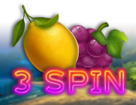 3 Spin