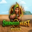 Sherwood Heist Hold & Win