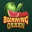 Burning Green