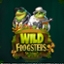 Wild Frogsters