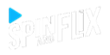 SpinAndFlix Casino