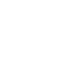 Hollywood Casino Logo