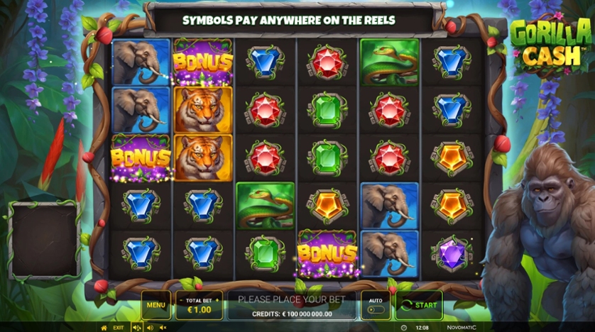 Gorilla Cash.jpg