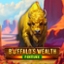 Buffalo's Wealth Fortune