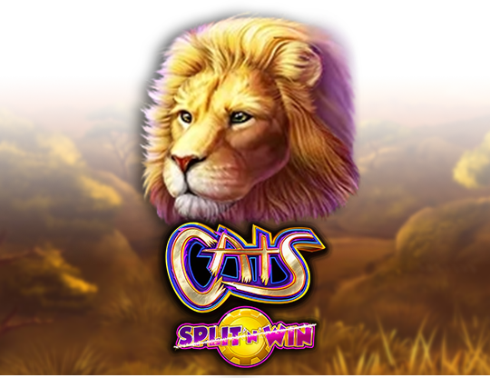 Cats Split 'n' Win