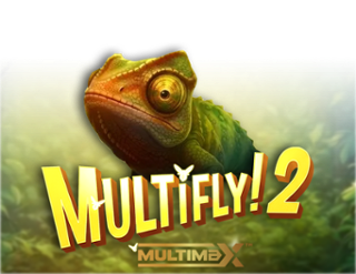 MultiFly 2