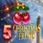 5 Christmas Fruits