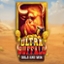 Ultra Buffalo Hold and Win