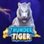 Thunder Tiger