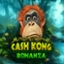 Cash Kong Bonanza
