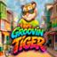 Groovin Tiger