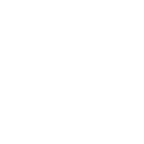 3923_500x500_white