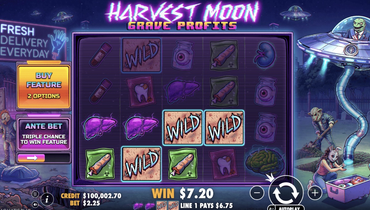 This slot comes with rather polished visuals