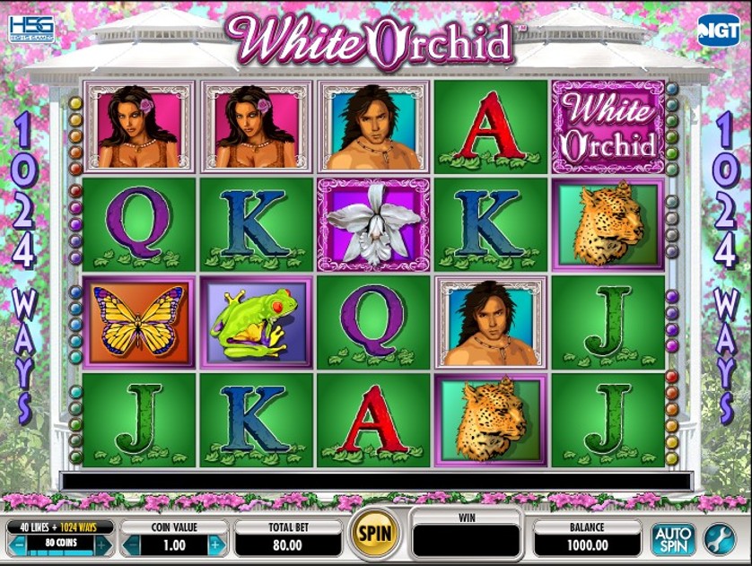 White orchid slot game free download