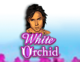 White Orchid