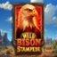 Wild Bison Stampede