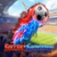 Soccer Showdown