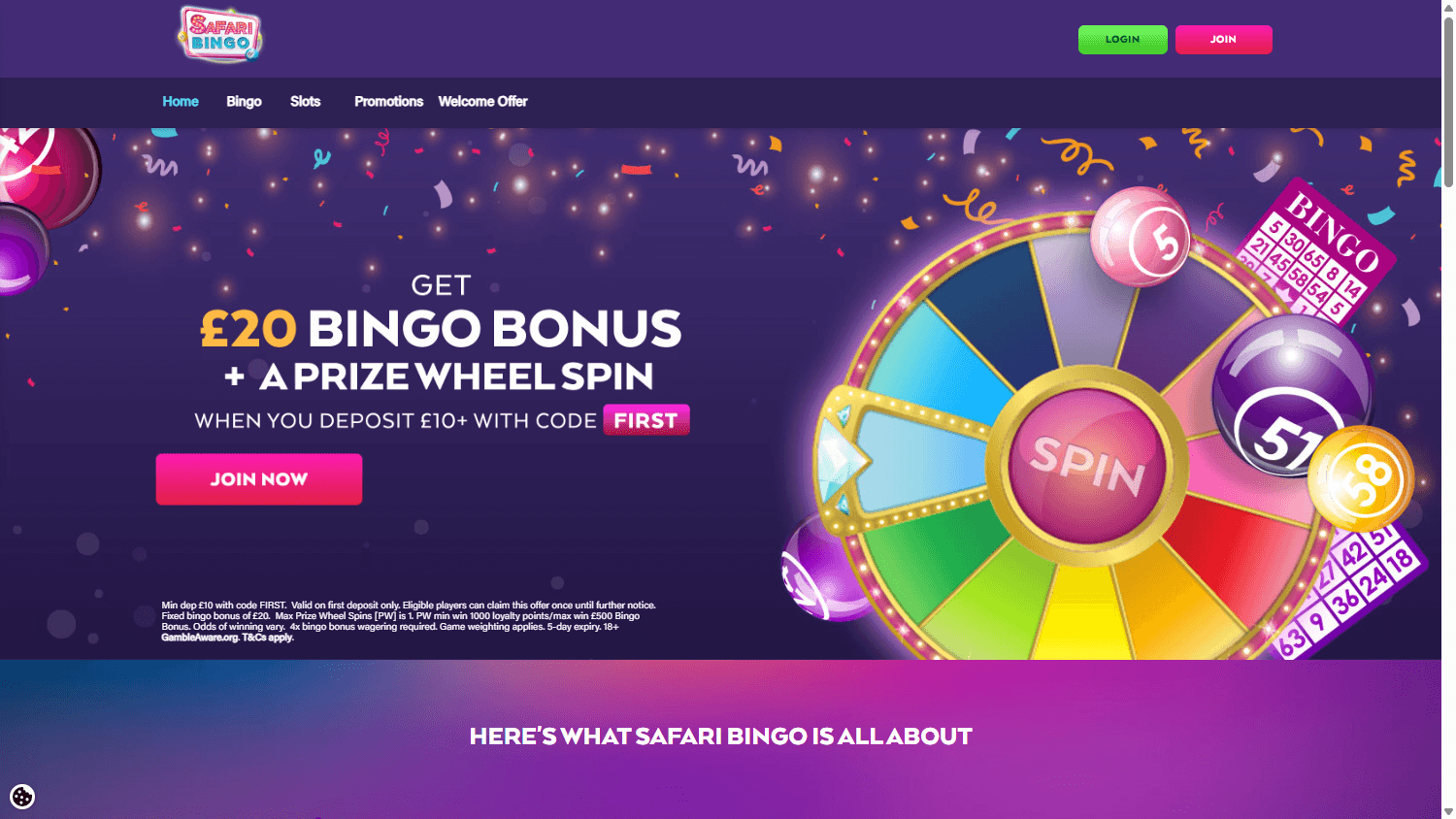 safari_bingo_casino_homepage_desktop