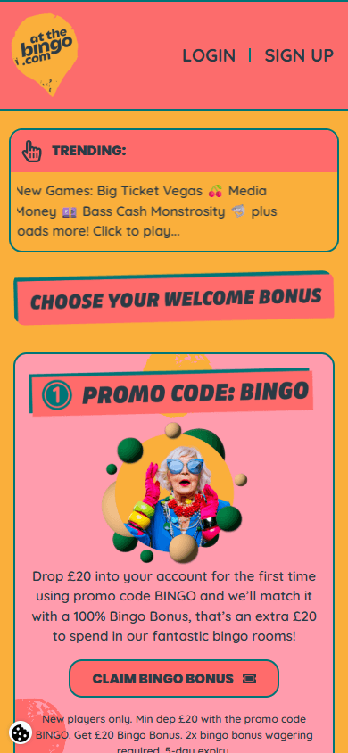 at_the_bingo_casino_homepage_mobile