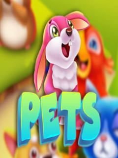 Pets