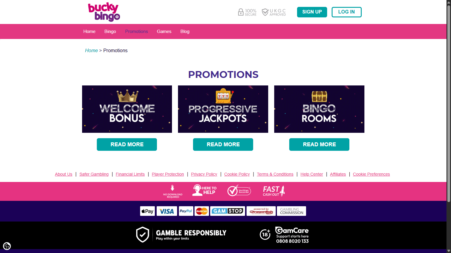bucky_bingo_casino_promotions_desktop