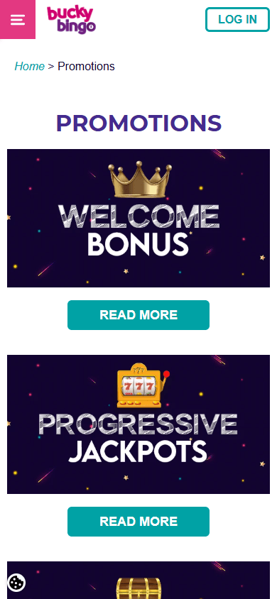 bucky_bingo_casino_promotions_mobile