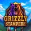 Grizzly Stampede