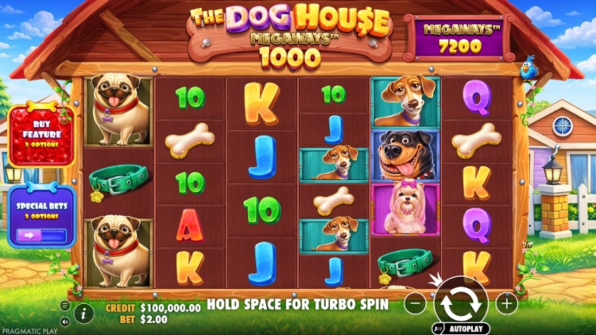 The Dog House Megaways 1000.jpg