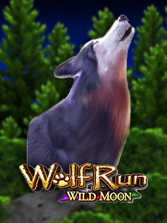 Wolf Run Wild Moon