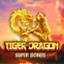 Tiger and Dragon Super Bonus