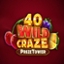 40 Wild Craze PrizeTower