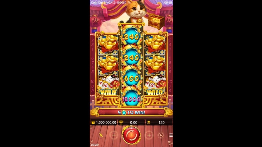 Coin Cat 2.jpg