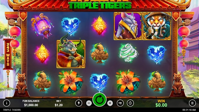 Triple Tigers.jpg