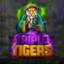 Triple Tigers