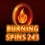 Burning Spins 243
